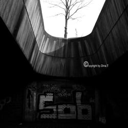 Ipressions – FEBRUARY and MARCH 2014 Übungen