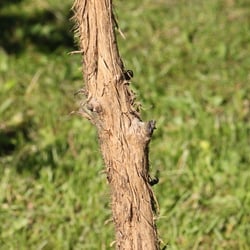 Natur 2012