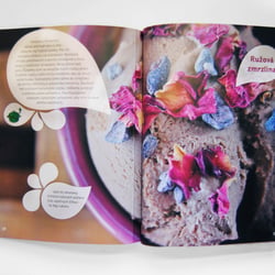Buch/ Herbs in the city / Editorial