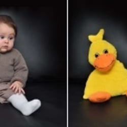„Gespräch mit einer Ente“
