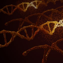 myDNA 2 lang compose