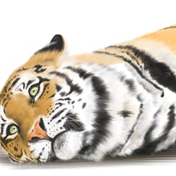 Amur-Tiger