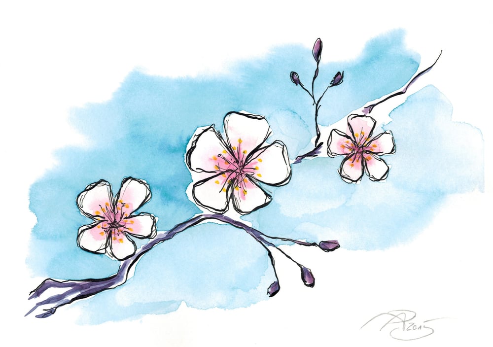 Kirschblüten