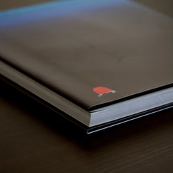 tief – faszinierende Einblicke in eine lichtlose Welt