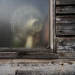 Gritty Composition