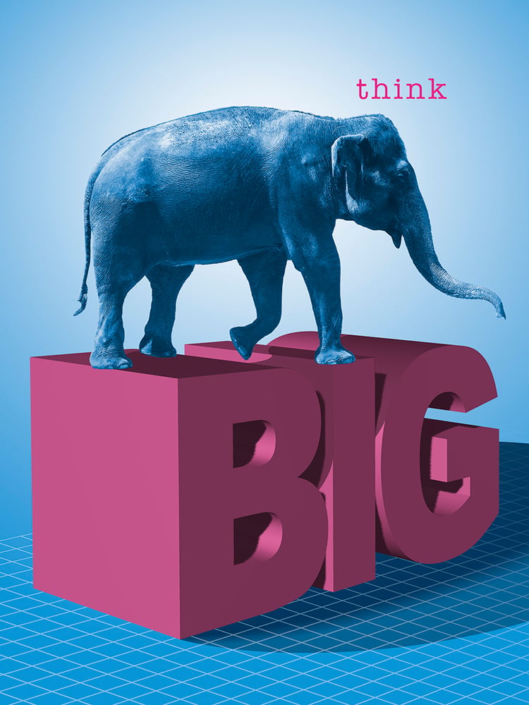 Think Big