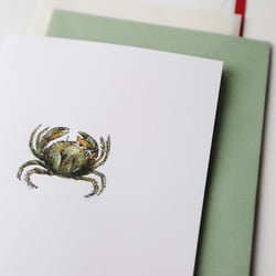 Analoge Illustration / Strandkrabbe