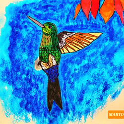 Septembird 23 – Tag 2 – Vogel:Puff-legged Hummingbird (Kolibri)