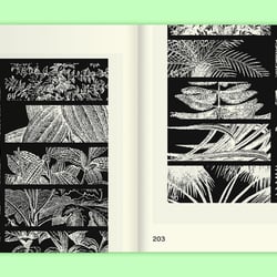 Leafy House Plants Von Benjamin Wurster