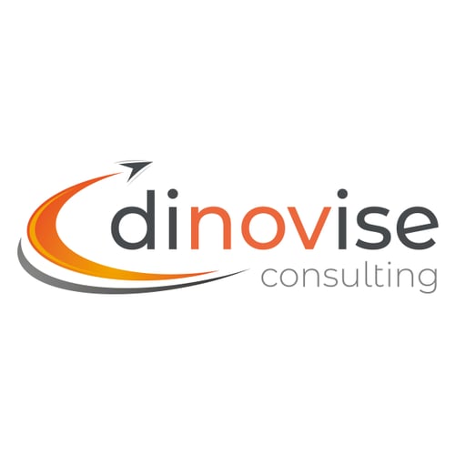 dinovise consulting