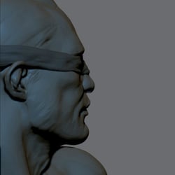 digital Sculpts