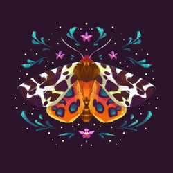 Tiger Moth