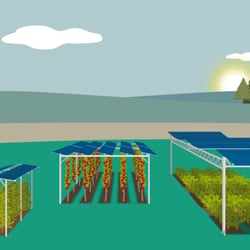 Agri-PV (Fraunhofer Institut)
