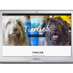Website