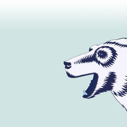 polar bear