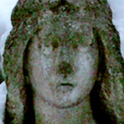 Engel