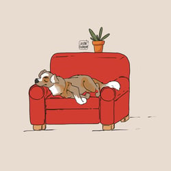 Entspannen auf der Couch
