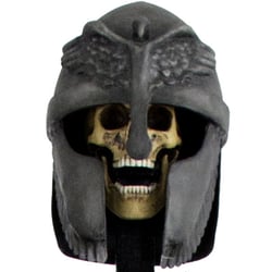 Acron Helm