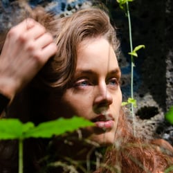 in the jungle