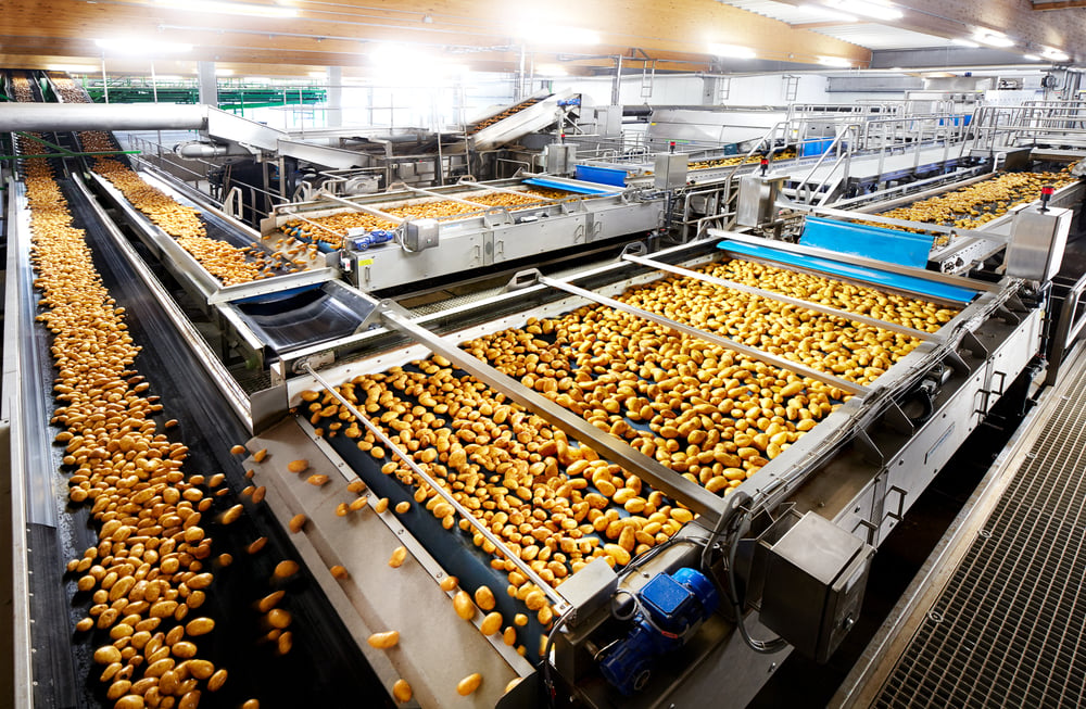 Anlage zur Sortierung und Verpackung von Kartoffeln