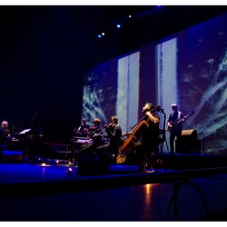 Concierto de Ludovico Einaudi- Madrid