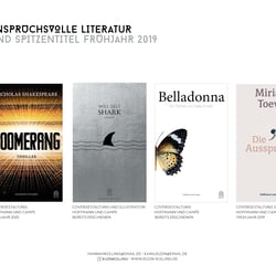 Portfolio 2018−2020 kuzin-kolling13