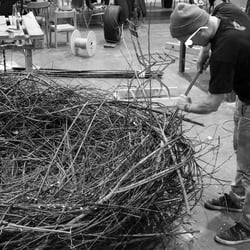 Bau des Nests 1