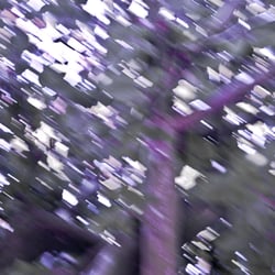 …