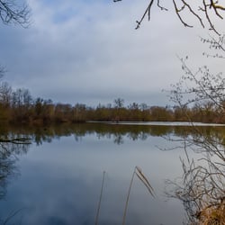 DSC 2462-1