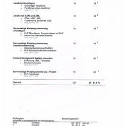 wbs3
