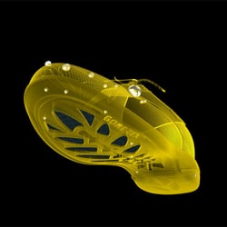 schuh1
