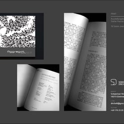 sebastian drichelt – portfolio 10