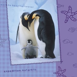 pinguine4