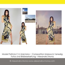 Portfolio Fashion Composition