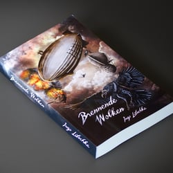Brennende Wolken – Buchcover Illustration