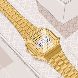Produkt Illustration / Casio