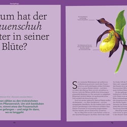 „Frauenschuh“ (Wohllebens Welt)