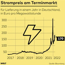 Strompreis in Deutschland seit 2017, WELT