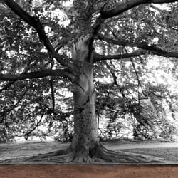 Fotografie und Bildbearbeitung