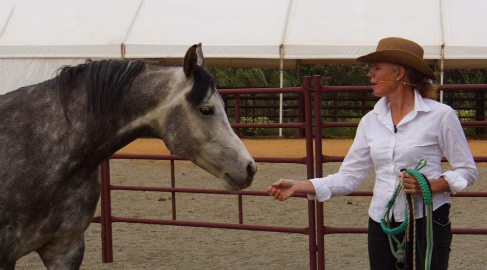Softness Training