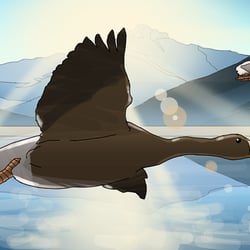 Storyboard und Konzeptillustratonen