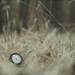 Film | Video
