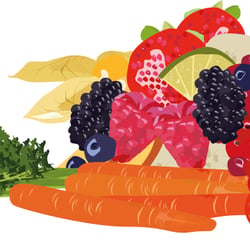 Ernährung (ein Arbeitskreis)