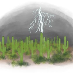Saguaro Blitzfeld – Beispiel einer Gefahrenzone