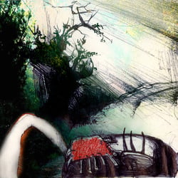Hase