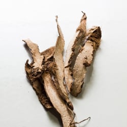Traditional Medicine