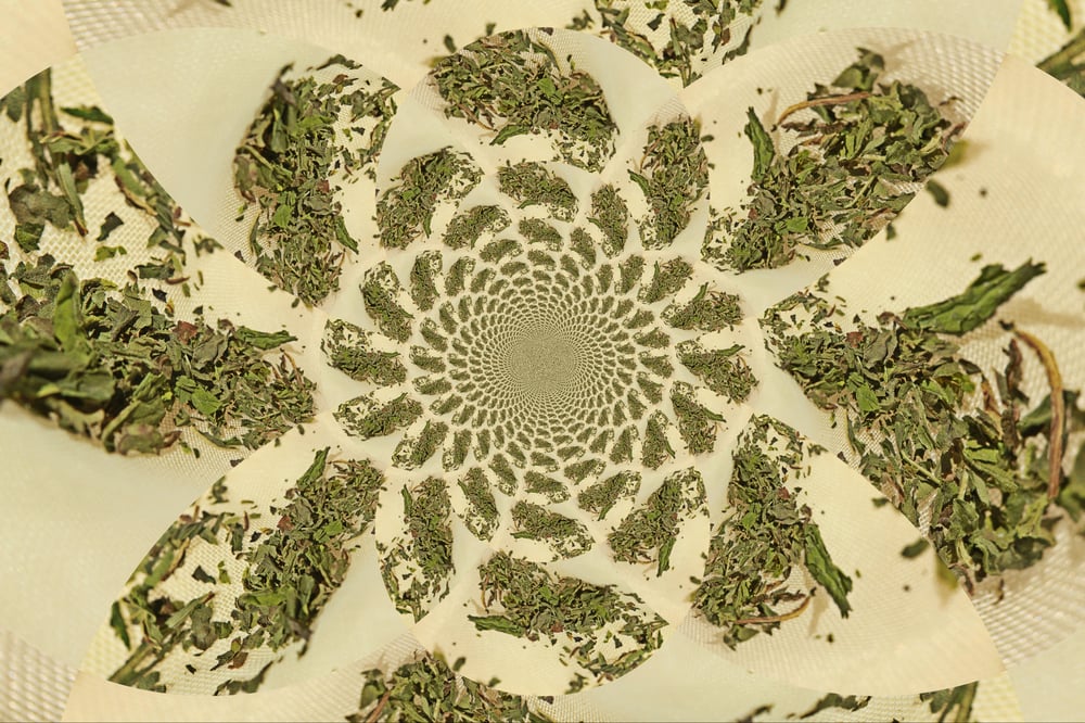 Βoτανα – Herbs- Kräuter – Gewürze- Fotoübungen Jun. 2017