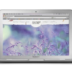 Web / Herbs in the city / Web Design