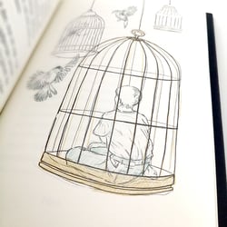 sie wollen es nicht wissen (4)