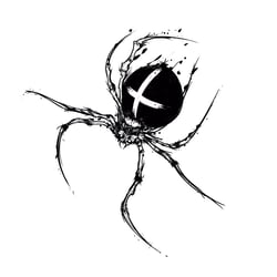 spider finished